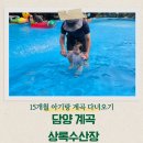 31140-6-74-15 | 담양 계곡 백숙 상록수산장 내돈내산｜15개월·8개월 아기랑 물놀이 후기
