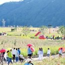 고현저수지 이미지