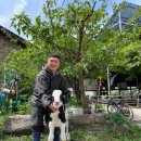 칠악골목장 이미지