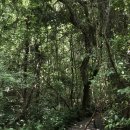 부촌공원 화장실 이미지