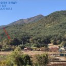 진전면927 이미지