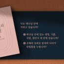 포도나무365 네이버블로그