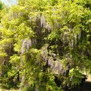 밀양댐생태공원 이미지