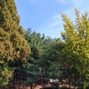 수정로456번길 이미지