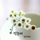 서경 Daum카페