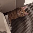 나래해물 이미지