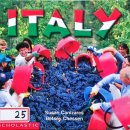 Script (E-K): 25 Italy 이미지