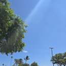 모아나 | 하와이 서핑 강습 후기 준비물 알라모아나 /와이키키 비치 후기