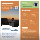 서쪽남자&동쪽여자 | 고양이 다섯마리가 반겨주는 세화 게스트하우스 코코코(+일출 오름 투어)