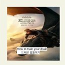 네이더 | 영화 드래곤 길들이기 내돈내산 후기