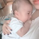 꽁냥파파 이미지