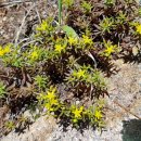 노적봉길 이미지