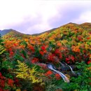 피아골 단풍공원 | 지리산 가을 단풍 ‘완벽 가이드, ’피아골·뱀사골의 불꽃 같은 단풍, 능선은 더 빠르게 물드는 이유