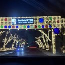 Banyan Tree Club&SPA Seoul Oasis | 반얀트리 딸기뷔페 후기｜그라넘 다이닝 라운지 VERY VARY BERRY 4부(7:30)