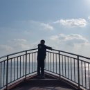 한반도행정사사무소 이미지