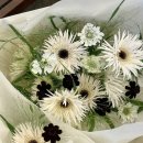 여주-1130 | 스튜디오 촬영 부케 여주 촬영 부케 화이트부케 거베라부케