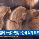 [KBS뉴스속보] 노벨 문학상에 소설가 한강...한국 작가 최초 수상.GIF 이미지