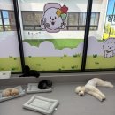 아따멍멍 미용앤호텔 | 인천 아따멍멍 인천논현점 미용앤호텔 | 애견미용 안전하고 쾌적한 호텔