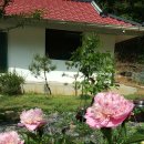 매룬통나무집 이미지