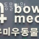 바우미우동물병원 이미지