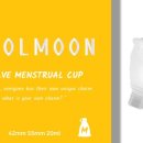 벌문(BeolMoon)