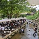대구 근교 여름에 가볼 만한 계곡 식당 팔공산 맛집 참새미골