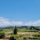 태암축산 네이버블로그