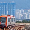 G1143 이미지