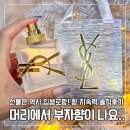 로랑헤어 | 입생로랑 리브르 헤어 미스트 선물 후기｜향·지속력·장단점 솔직 리뷰