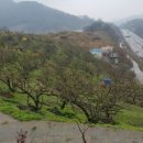 우경농장 이미지