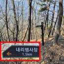 용문마을회관 (용문마을방면) | 양평 추읍산, 산수유 마을 (feat. 산수유꽃 개화 상황)