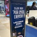 롯데상회 | 잠실 롯데월드몰 노량진 형제상회 팝업) 초밥 내돈내산 후기!