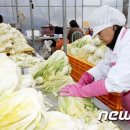 괴산마트영농조합법인 이미지