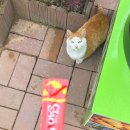 유락농장 | 2025.3월 일기(1)