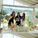 스테이 삼사오월애 이미지