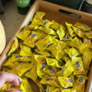 도로시파스타 연정 홍대점 | 도로시파스타 배곧 내돈내산 후기 - 데이트, 분위기 좋은 시흥 배곧 양식 맛집 추천