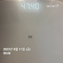 아크로짐 외대점 | [바디프로필 D-DAY] 🏋🏻‍♀️ 치카서울 / 봉살롱 / 아크로짐 외대점