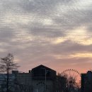 대종축산 네이버블로그