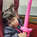 발산어린이집 이미지