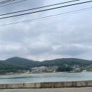 남해장어 이미지