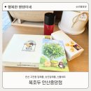 복호두 중앙점