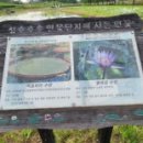 성호로8길 이미지