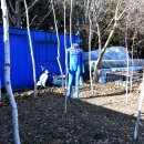 아미미술관 이미지