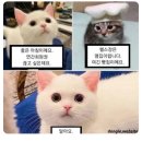 실로모아 네이버블로그