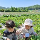 예일농장 이미지