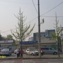 원호족구장 네이버블로그