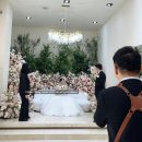 (주)해피로드 | 20250412-0413 한국에서 세번째 결혼식 // 테라리움서울 웨딩홀 후기 // 결혼식 뒤풀이