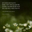믿음