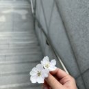 방배천로4안길 33 (2) 이미지
