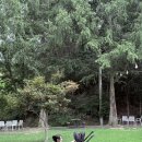 디자인플릭 | 양대면 오토폴딩이 이렇게 편할줄이야, 리안 플릭 솔직후기